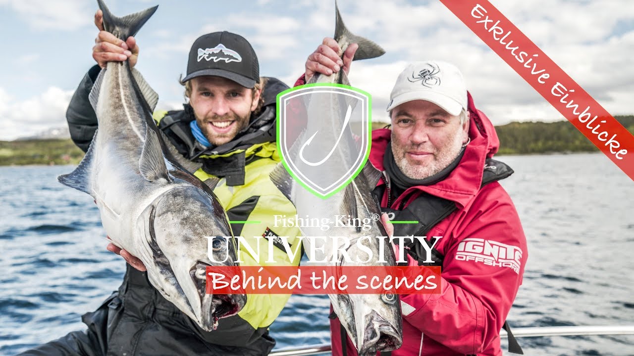 Angeln in Norwegen 🇳🇴 mit Gummifisch auf Heilbutt, Steinbeißer, Köhler & Dorsch - mit Rainer Korn