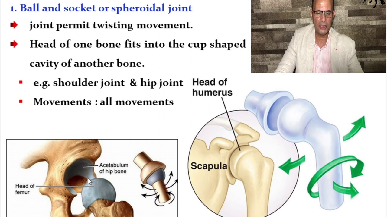 General Arthrology part4