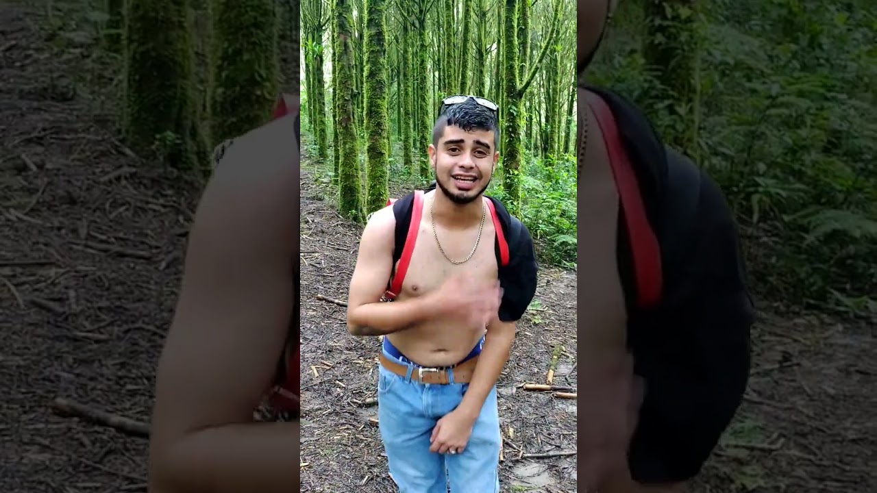 #pereira