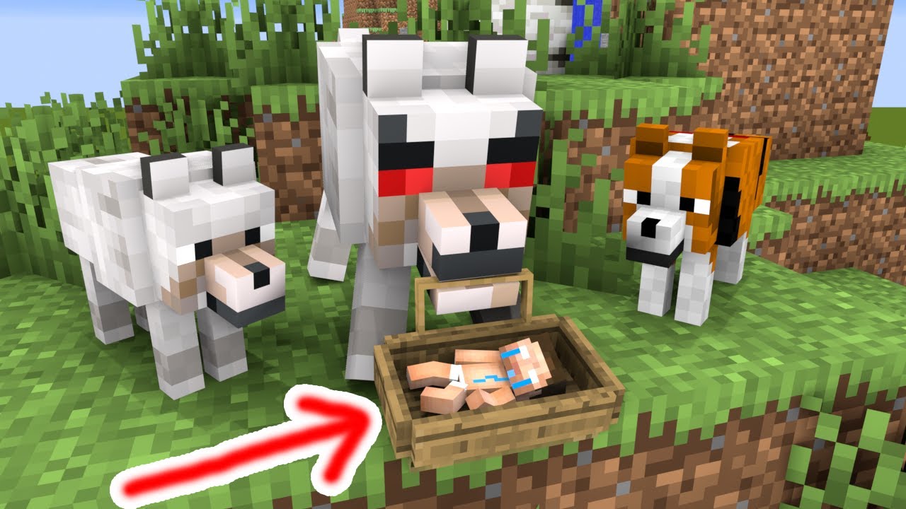 Baby Herobrine Became a Jungle Man After Being Abandoned - Minecraft Animation