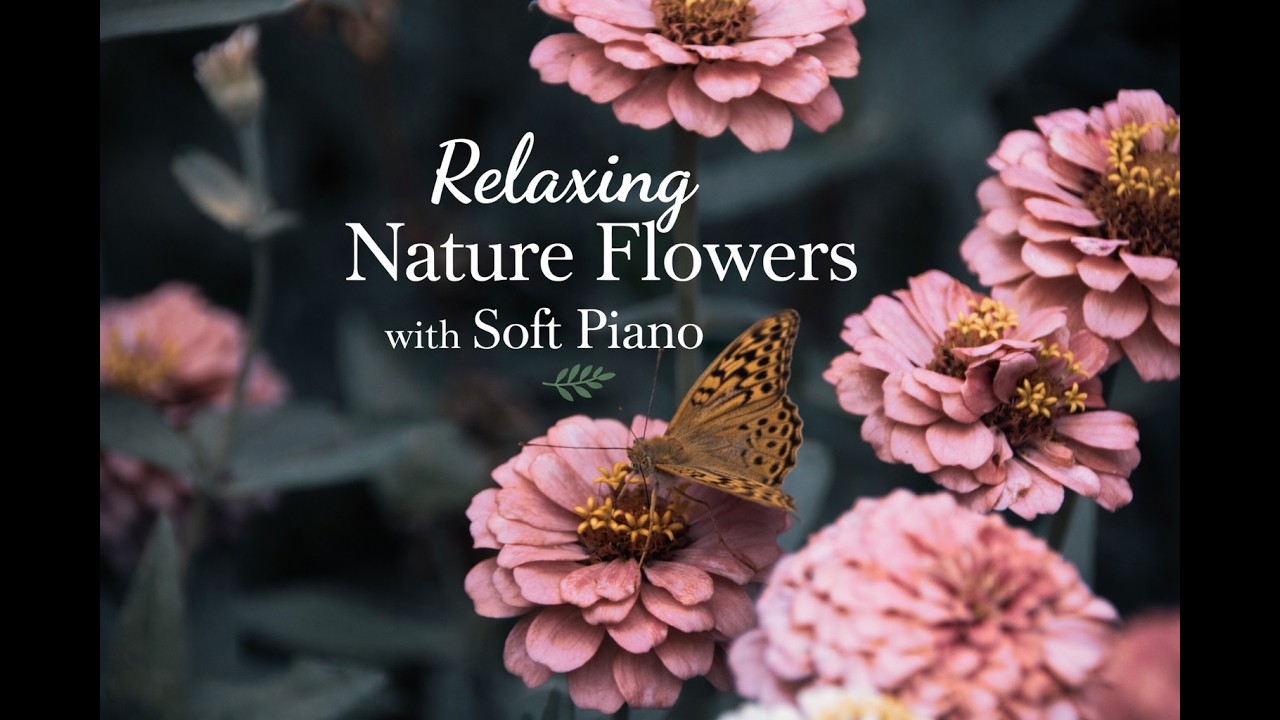 Relaxing Nature Flowers with Soft Piano