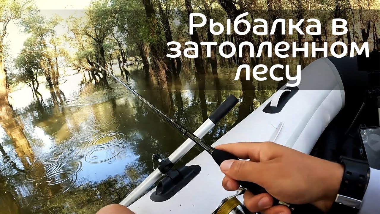 Рыбалка в затопленном лесу / Спиннинг с лодки без эхолота: где и как искать щуку?