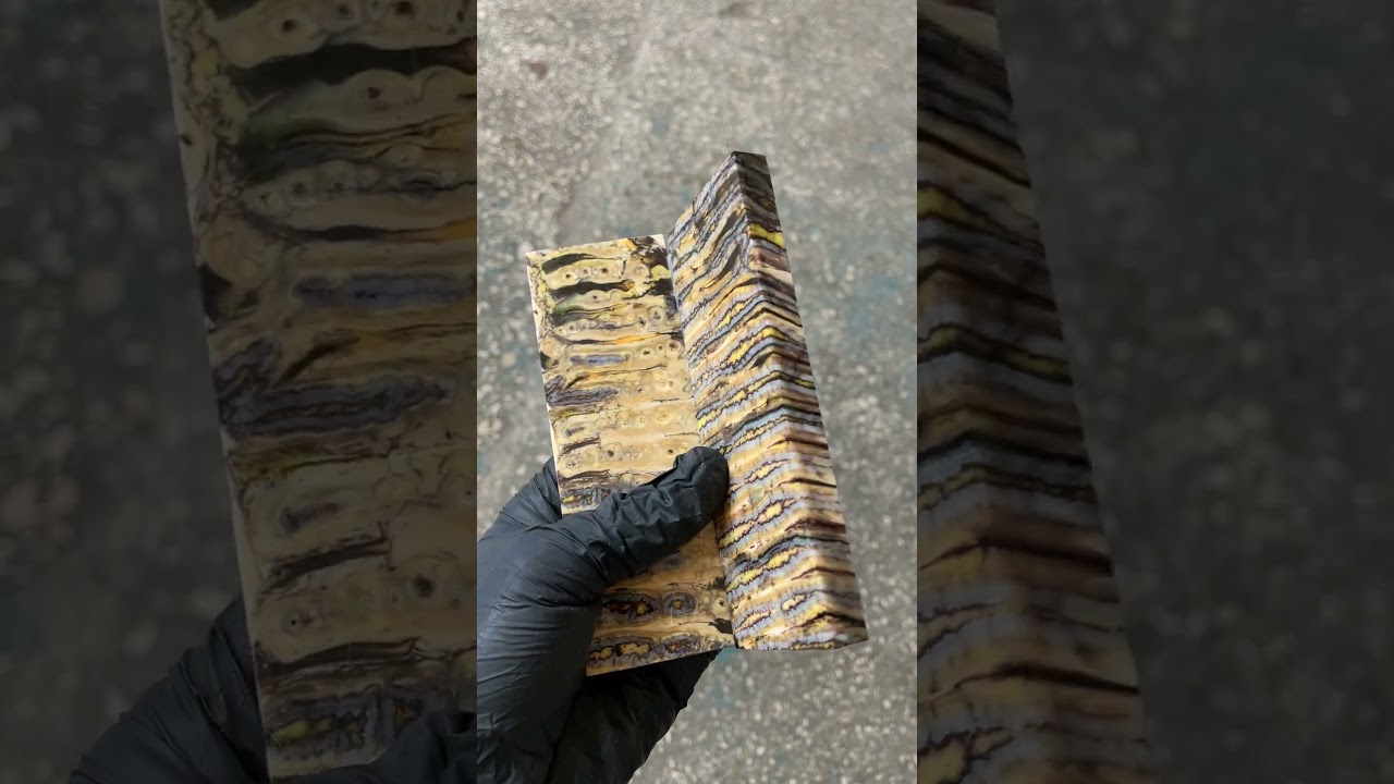 Mammoth tooth pair scales stabilized for knifehandl gungrip and handmade T764