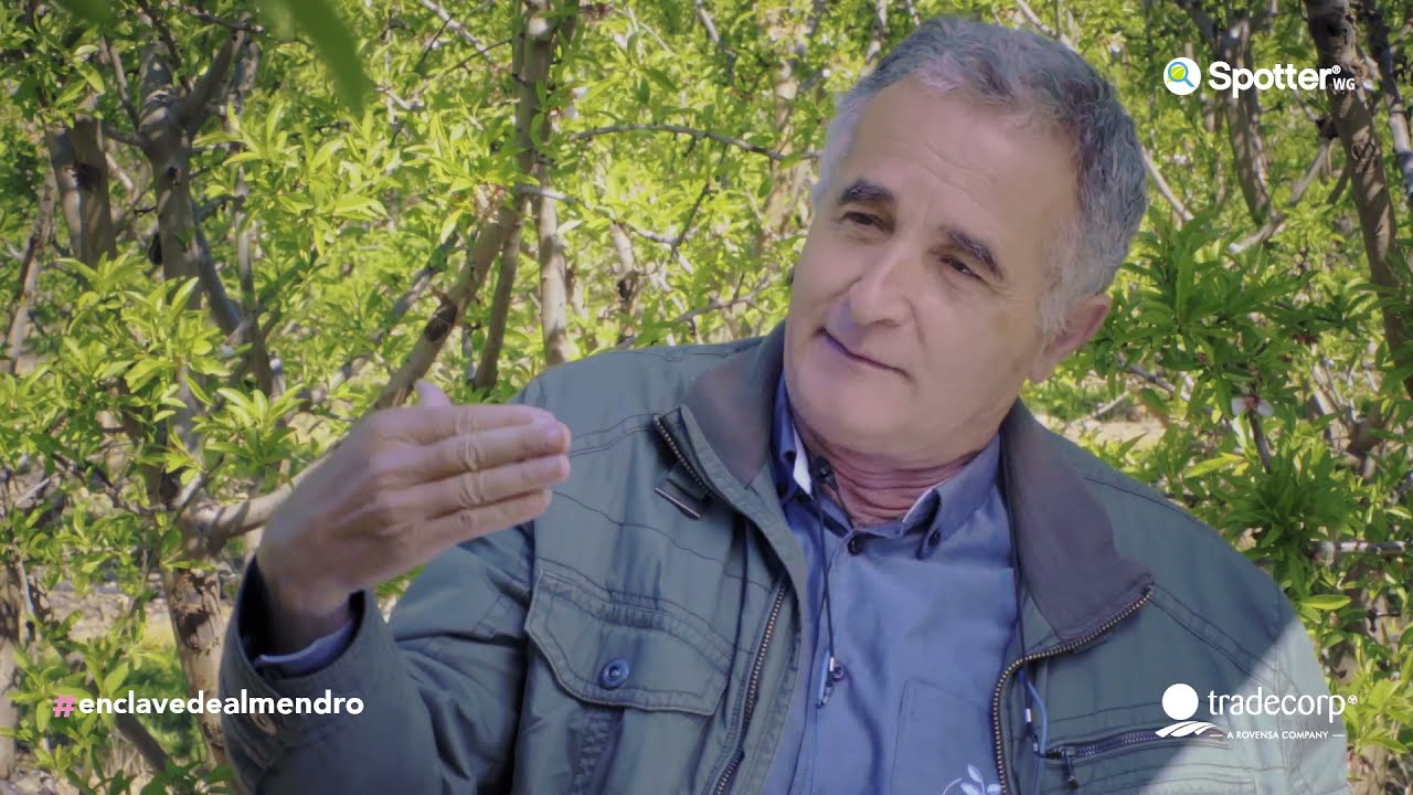 #EnClaveDeAlmendro | Modelos de producción para ser competitivo en almendro