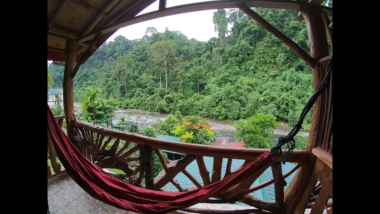 Bukit Lawang Accomodation - Garden Inn