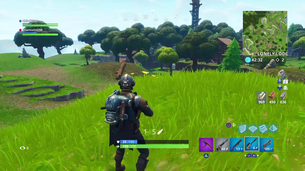 My friend helps me destroy wailing woods