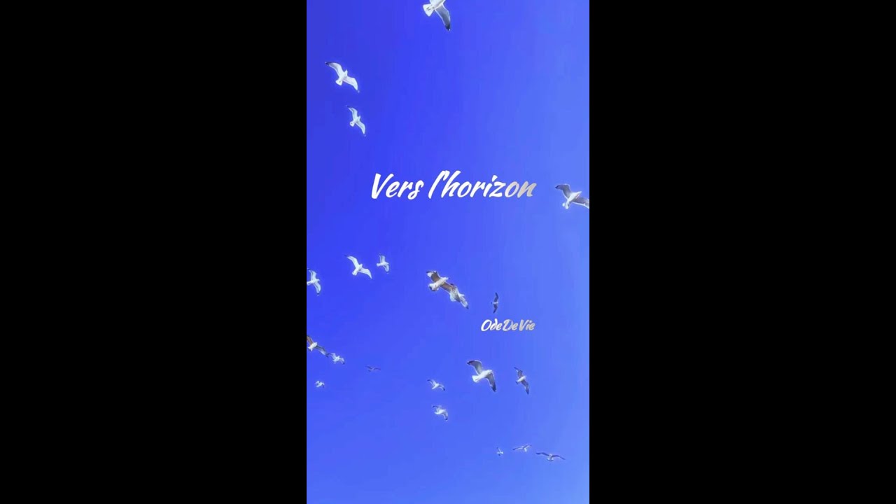 Vers l'horizon  #ambiance #musique #animation visuelle créative