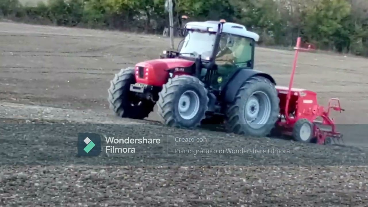 semina grano 2021