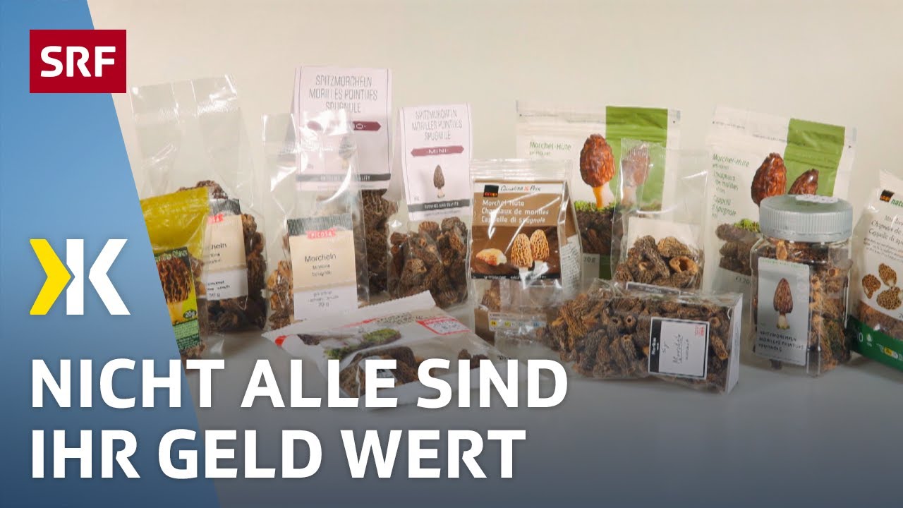 Getrocknete Morcheln im Test: Manche Pilze machen Bauchweh | 2017 | Kassensturz | SRF