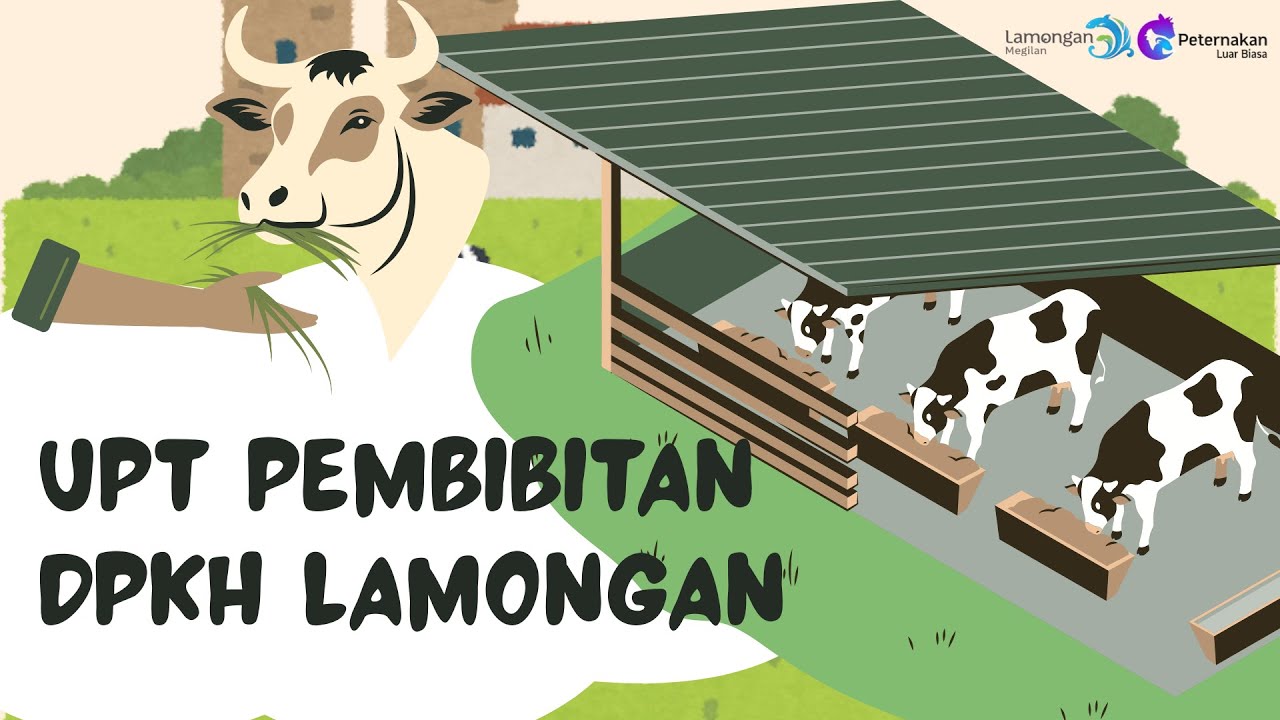 Mengenal Lebih Dekat UPT Pembibitan 🐄 | Disnakkeswan Lamongan