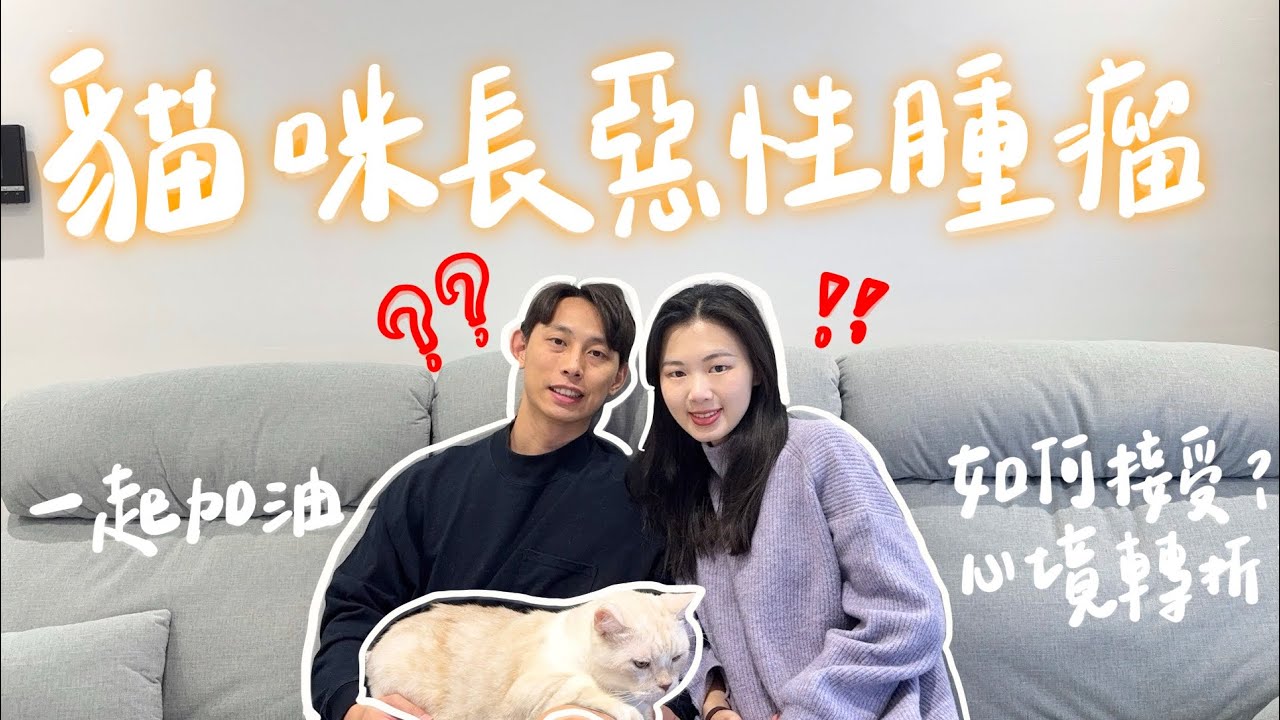 貓貓長了惡性腫瘤❗️這段時間我們慢慢過｜從發現到治療的紀錄｜心境的變化｜面臨所有難題，我們一起加油｜ Di & Chelsea 兩個人一隻貓