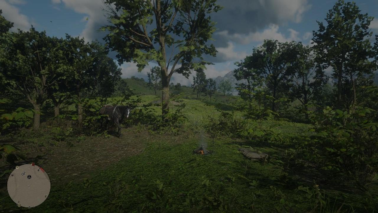 Red Dead Redemption 2 Gameplay