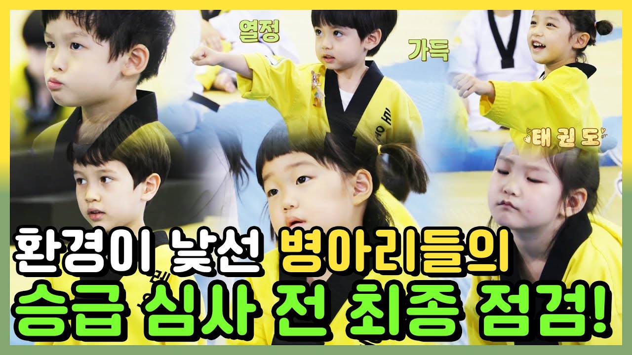 🐣귀여움 1000% 병아리 승급심사🐣 태권도 발차기~ 얍 !!! [병아리 하이킥] MBN 210613 방송