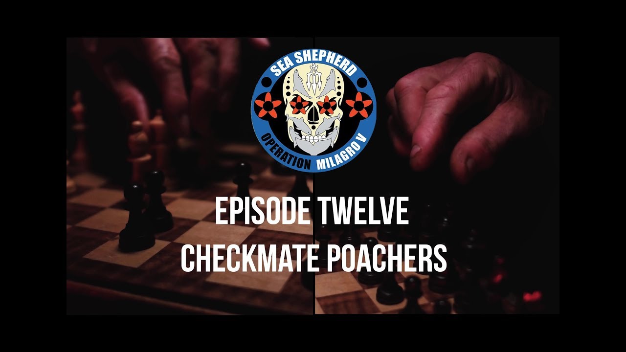 CHECKMATE POACHERS