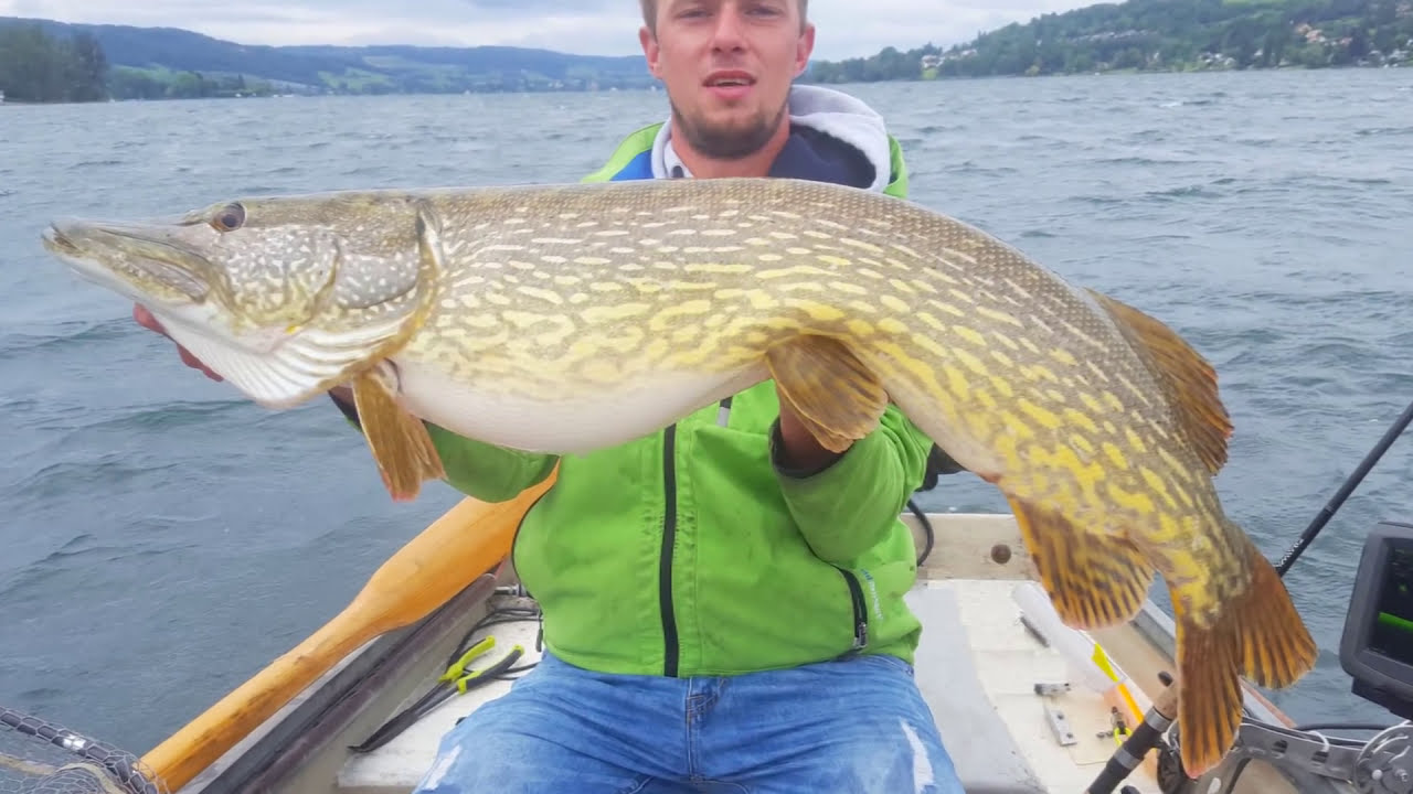 Der Bodensee - Teil 3: Doppeldrill, Live-Bisse, Unterwasser, Water Wolf