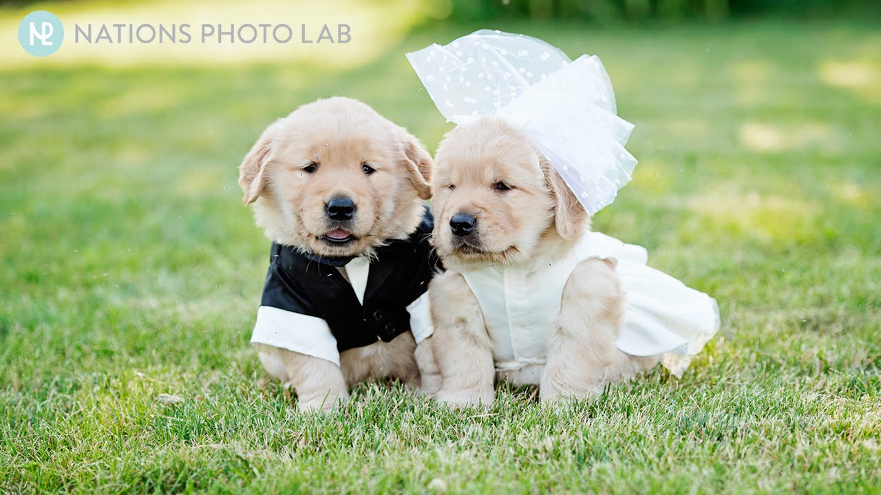 Photographer Challenge #2:  Photographing Challenging Portraits with Tamara Lackey