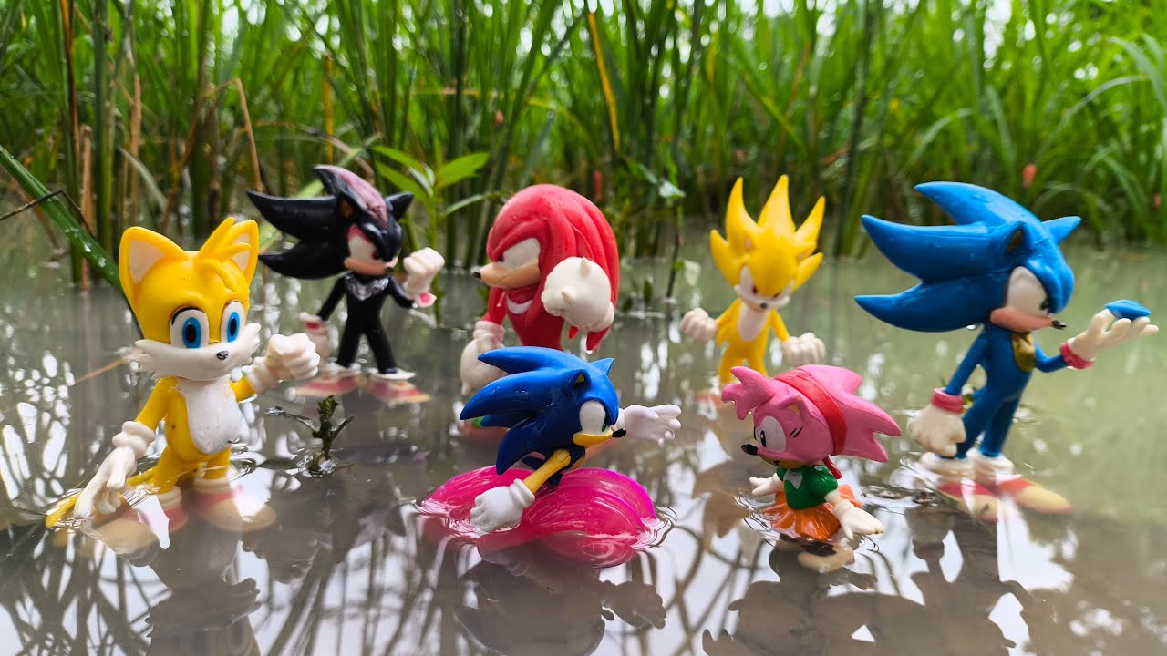 Sonic Hunter | Sonic Hedgehog | Knuckles | Tails | Super Sonic | Sonic Shadow | Metal Sonic | Amy