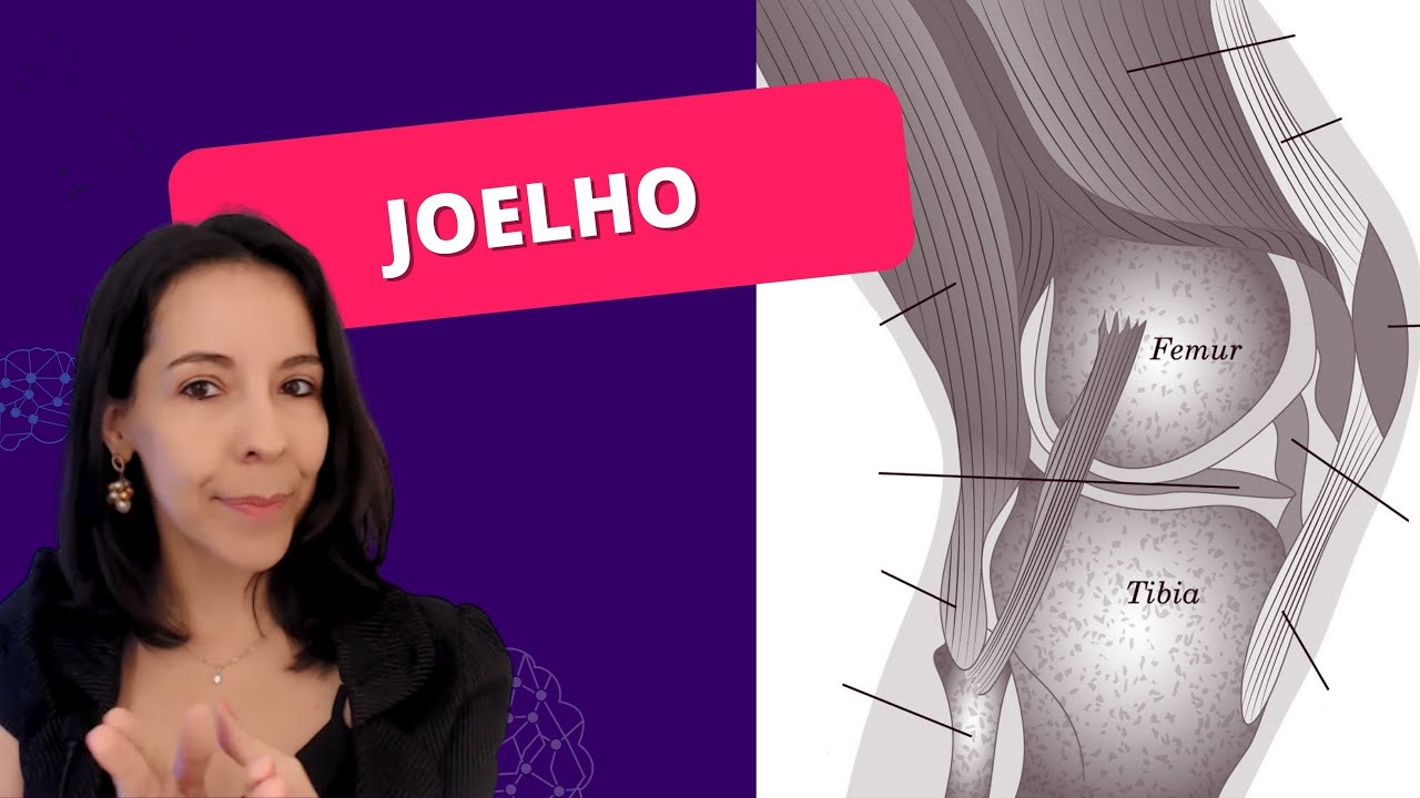 JOELHO: Tudo que voc&ecirc; precisa saber antes de prescrever EXERC&Iacute;CIOS
