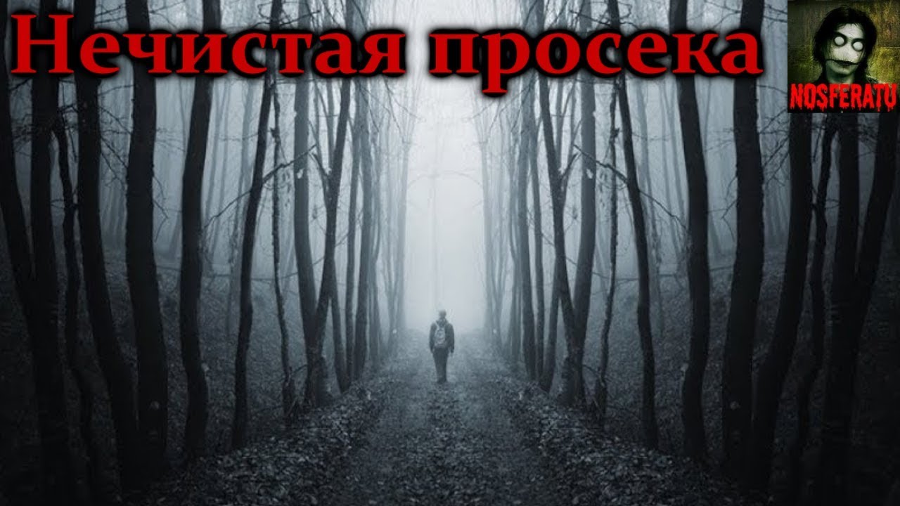 Истории на ночь - Нечистая просека