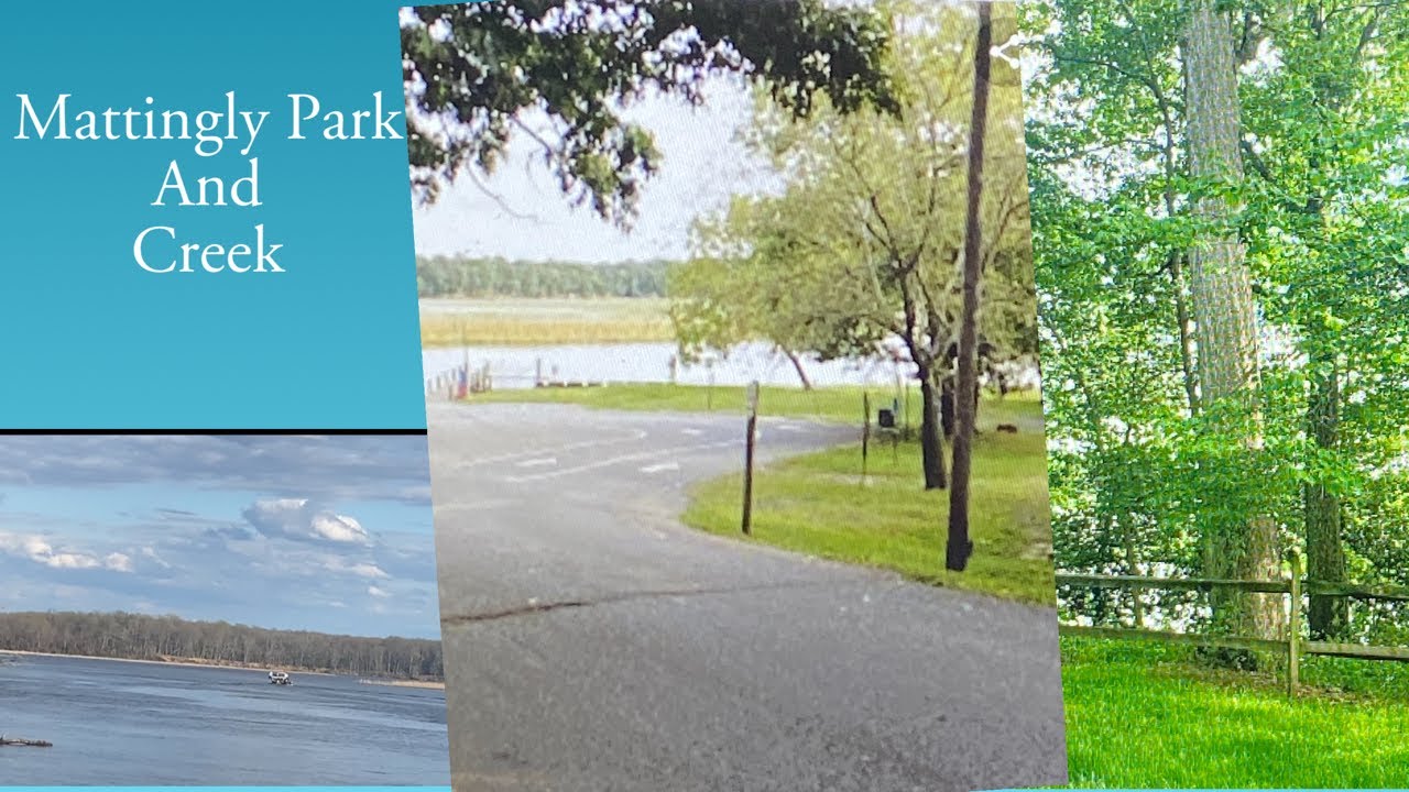 Mattingly  Park And Creek /OutDoor Adventure / Charles County Maryland