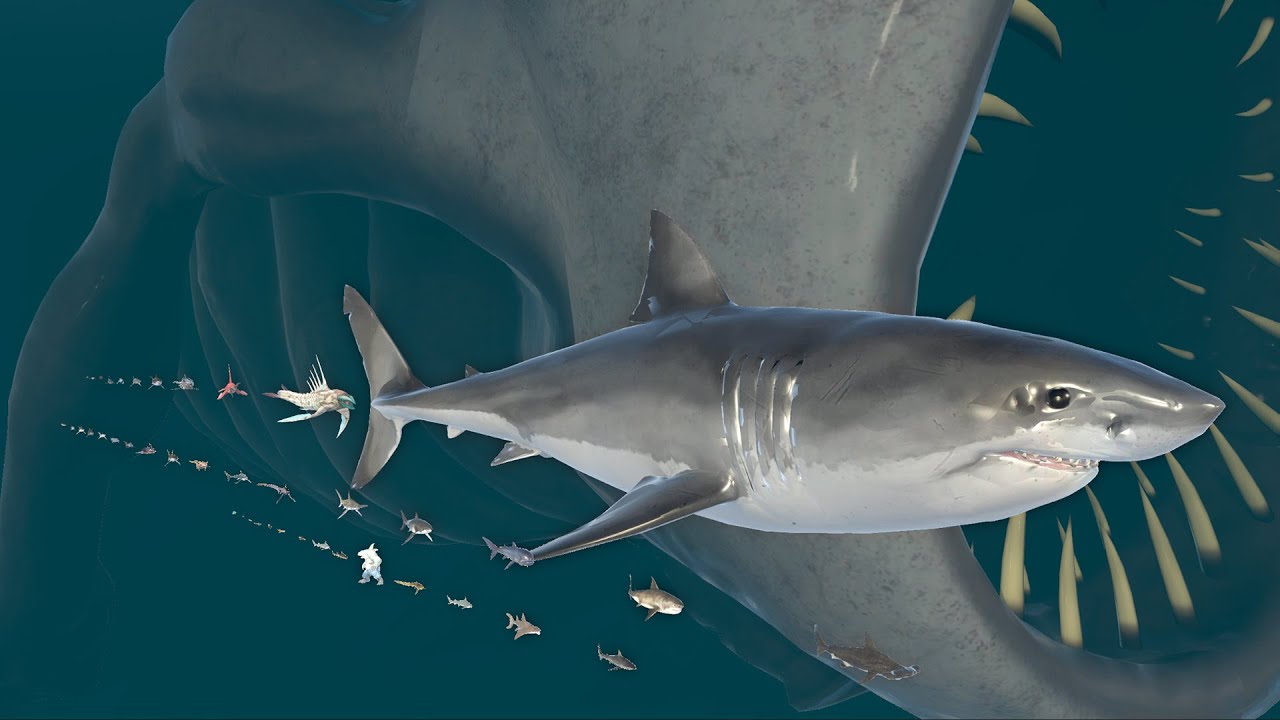 How Many Shark To Equal Sea Eater by Length | 3D Sea Monster Size Animation Comparison