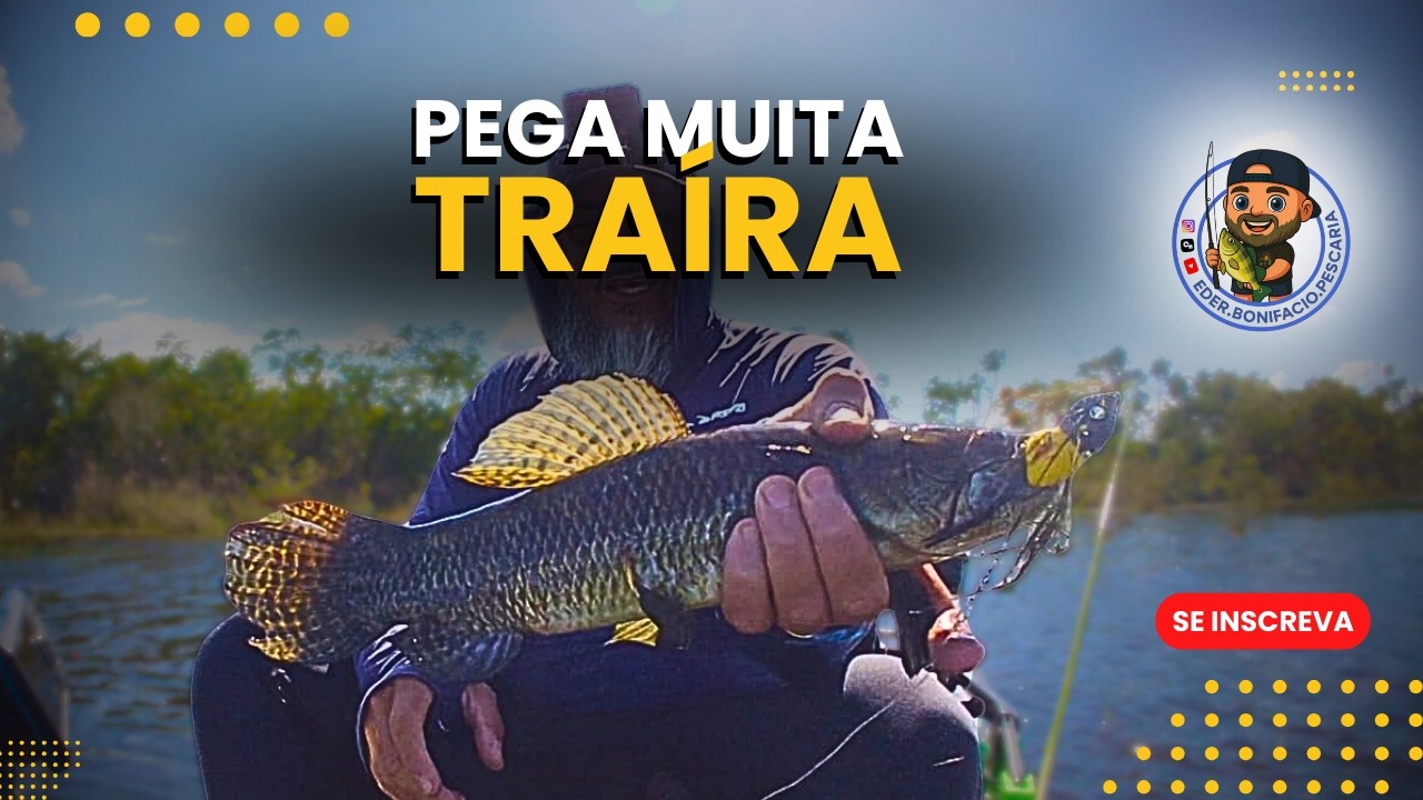 PESCARIA COM AS ISCAS RATINHU E MONSTER FROG - ACHAMOS O NINHO DAS TRAÍRAS - PESCARIA ULTRALIGHT