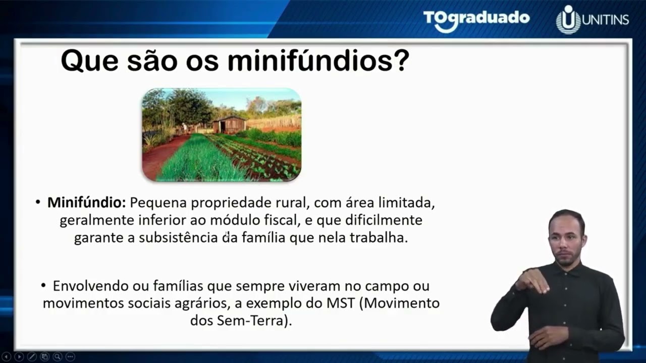 Estrutura Fundiária Brasileira: Desigualdade e Impactos