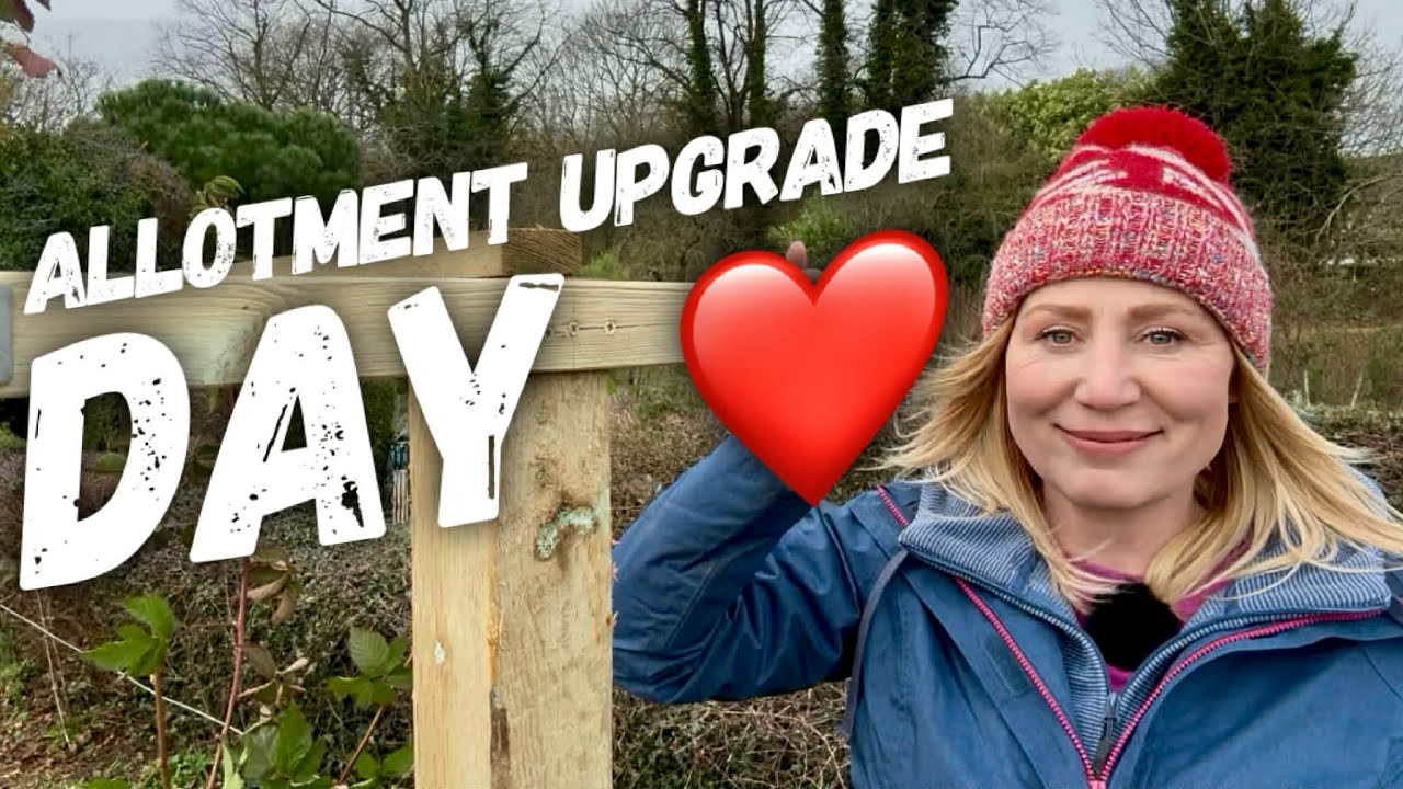 BEST VALENTINE'S! BUILDING BLACKBERRY SUPPORTS AND CHANGING LAYOUT OF MY LARGE BED.