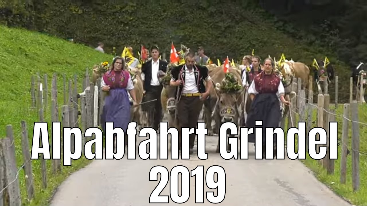Alpabfahrt Grindel  2019