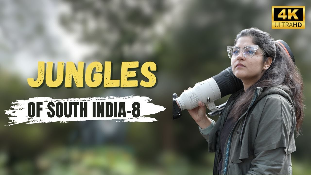 Surprised to see this inside a Tiger Reserve | Kalakad-Mundanthurai TR | ATR DAY 108, 109, 110