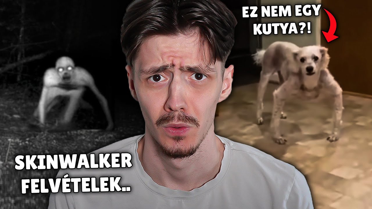 HÁTBORZONGATÓ 