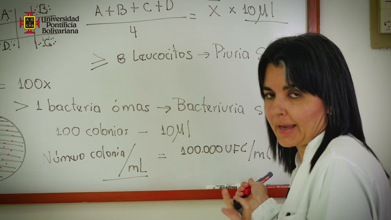 Diagnóstico Microbiológico de la Infección Urinaria