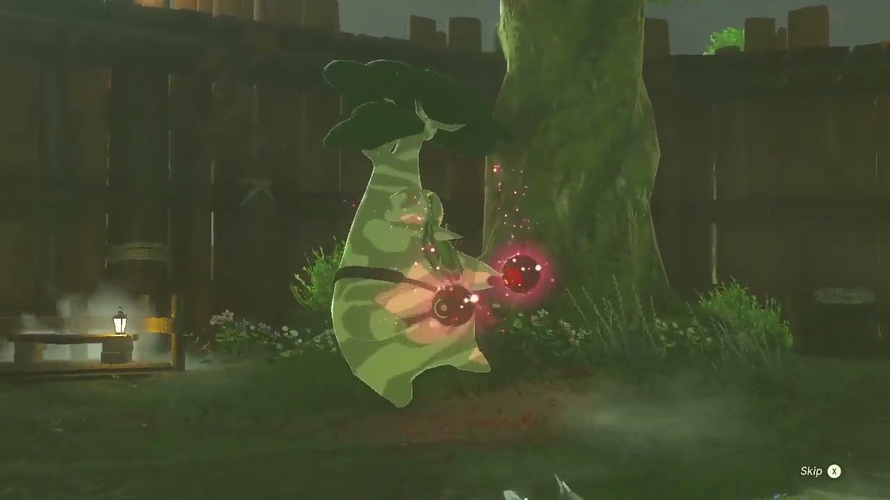 Zelda Tears of The Kingdom: Hestu's Dance