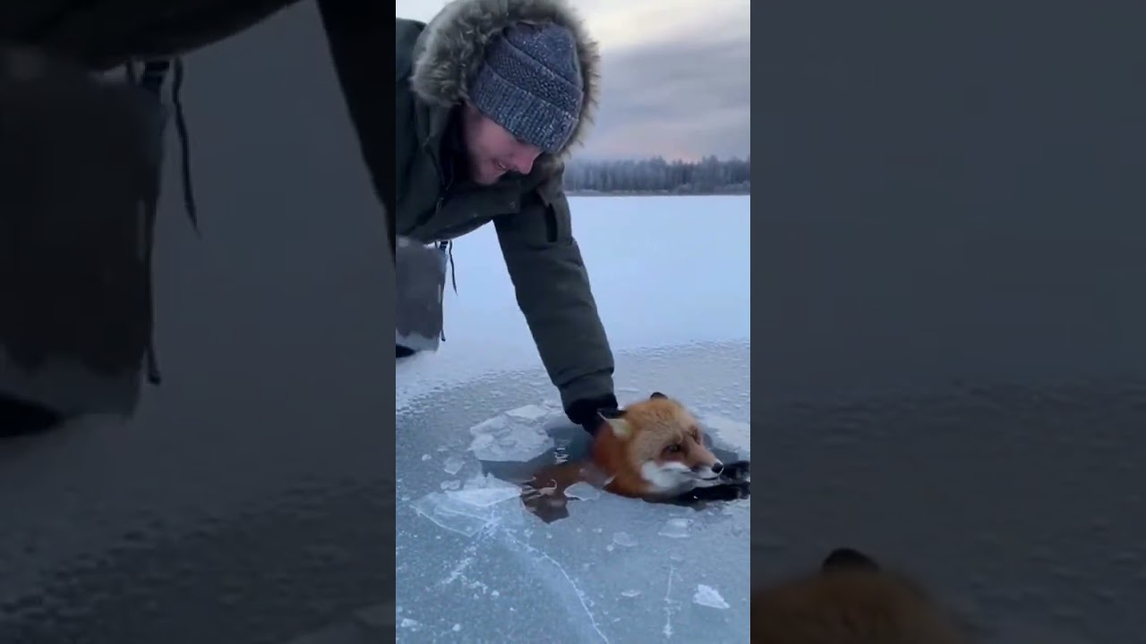 #SavingWildlife