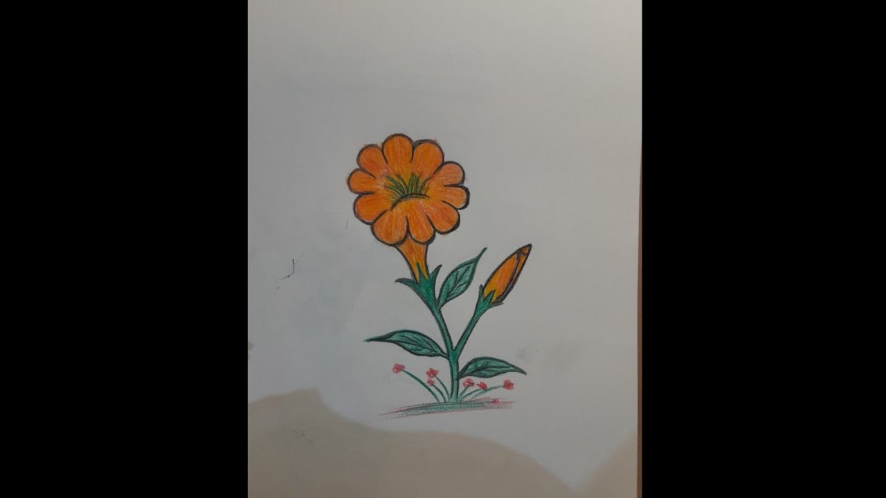 Handmade Flower pot Drawing with Beautiful color pencil Art