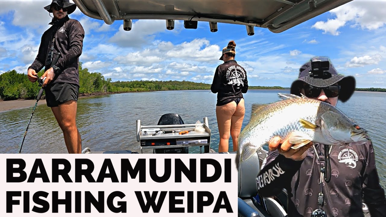 Barramundi Fishing Weipa