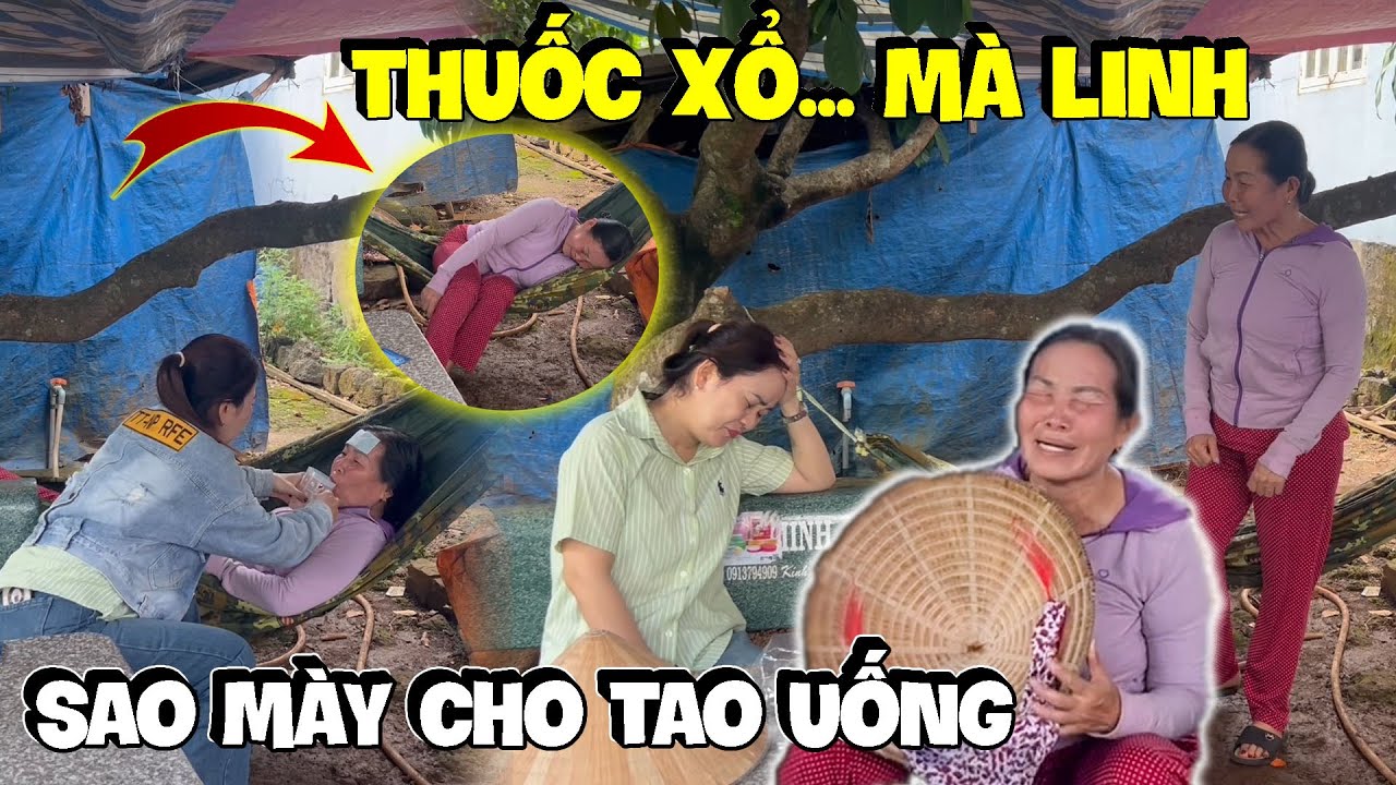 Linh Ế Cho Dì Hương Uống Thuốc 