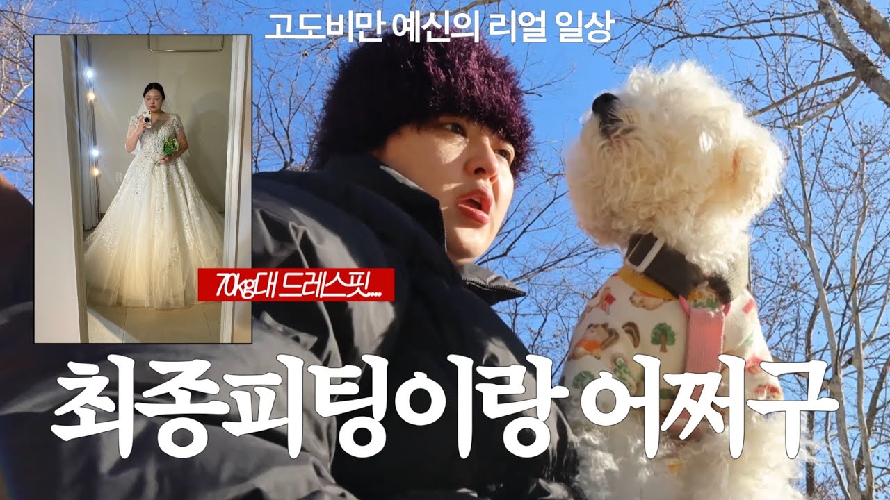 최종 드레스피팅하고 5천원짜리 옷사고... 이사 전 예신의 일상👰🏻‍♀️