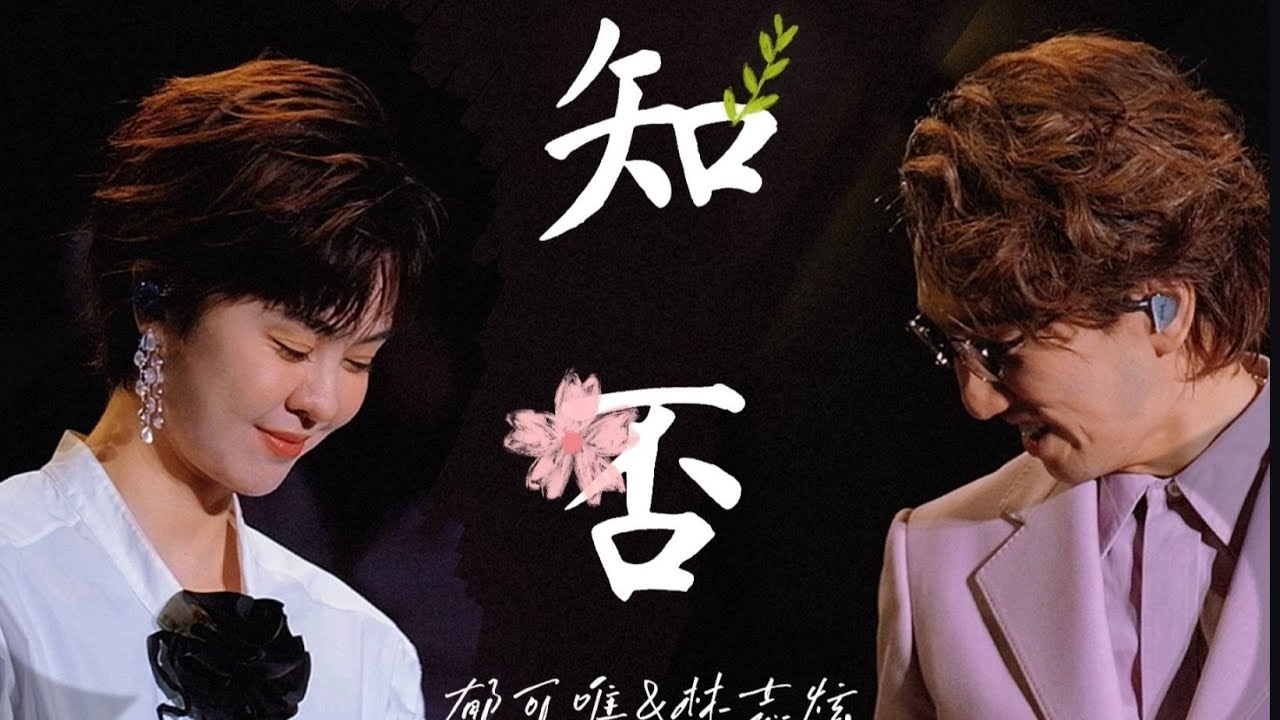 林志炫&郁可唯《知否知否》【4K】林志炫温州演唱会2025-04