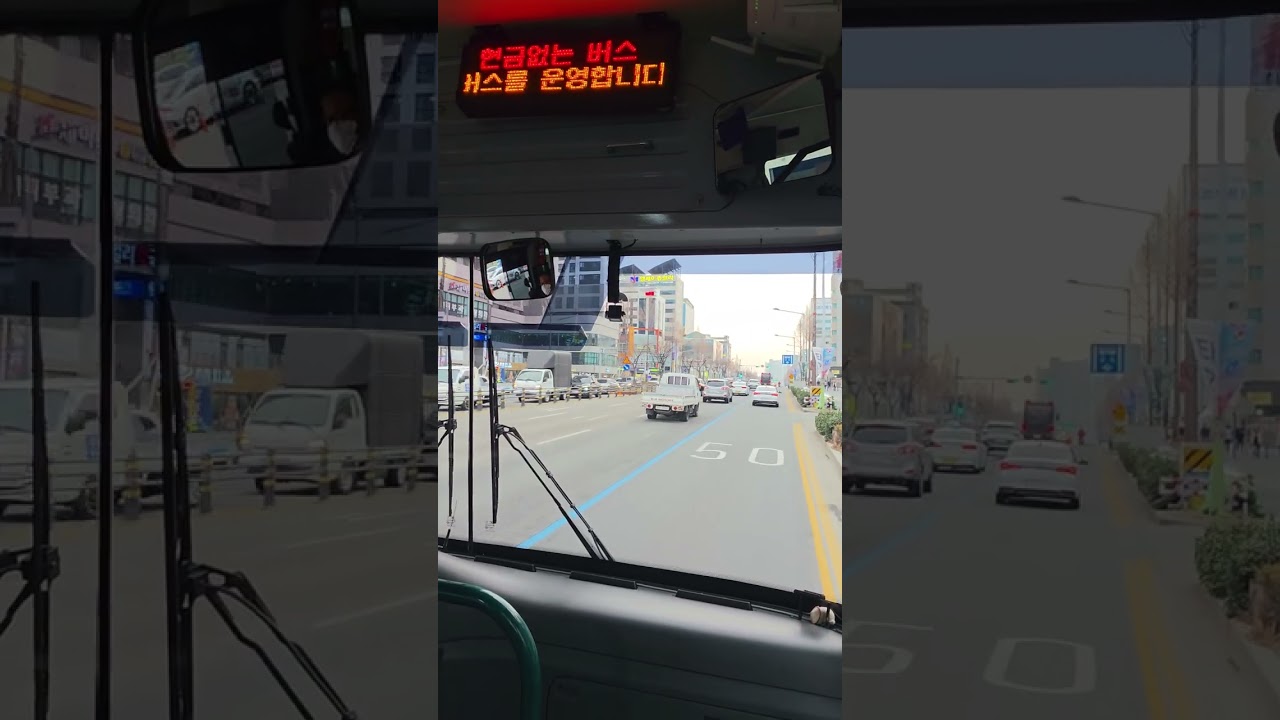 대전버스 201번 비래검문소-원내동공영차고지 주행영상