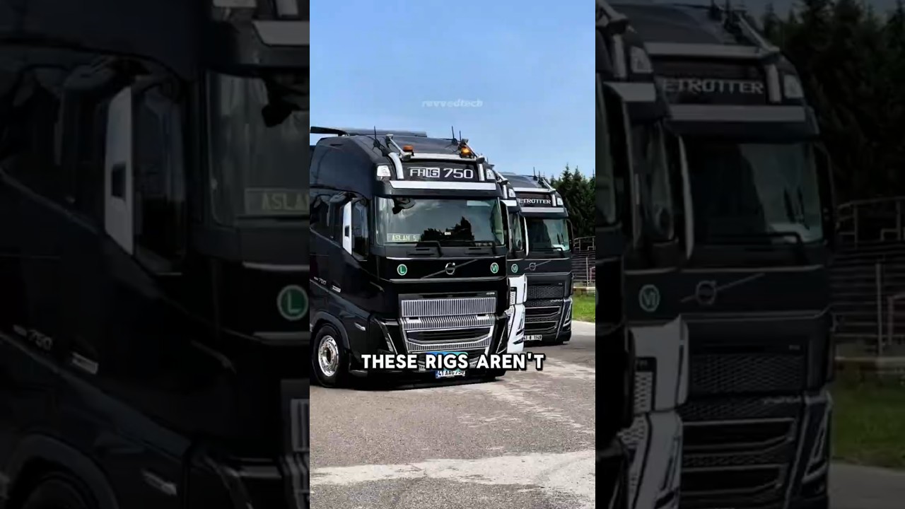 3 самых популярных грузовика в Европе 🚛