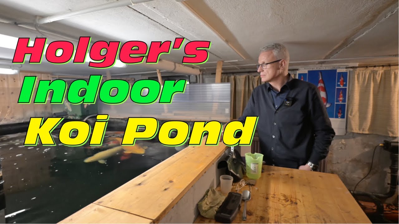 Holger‘s 10000 Liter Indoor Jumbo Koi Teich!