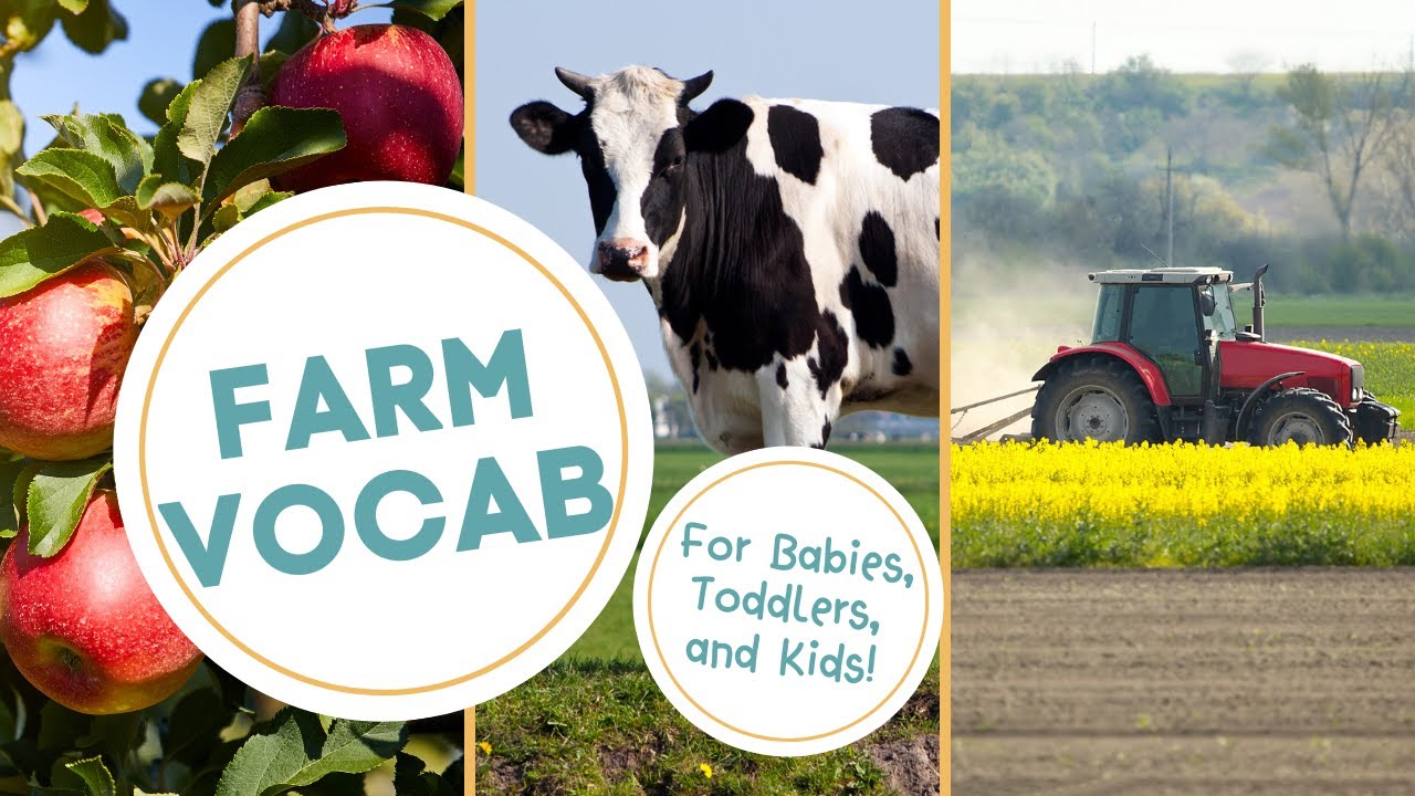 LET'S GO TO THE FARM | Slow Paced | Learning Vocabulary | Show for Babies, Toddlers, and Kids
