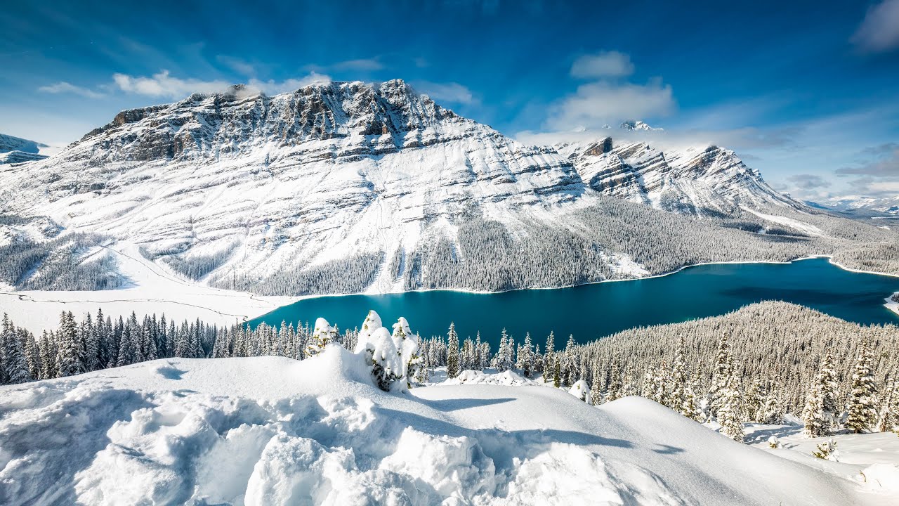 Calm Winter Landscapes - Ep 2 | 4K Nature Sounds & Jasper National Park Relaxing Ambience
