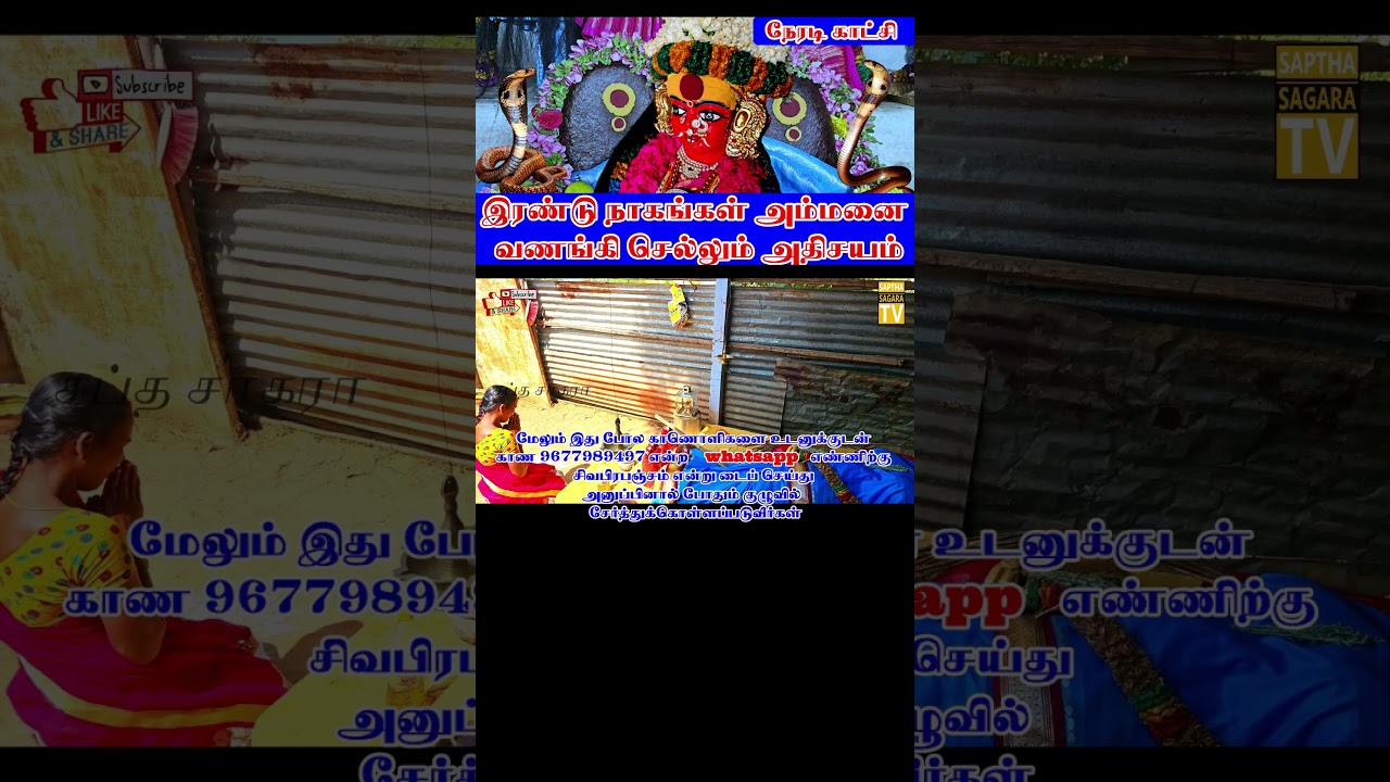 👆 முழு காணொளி பார்க்க #சிவபிரபஞ்சம் #சப்தசாகரா