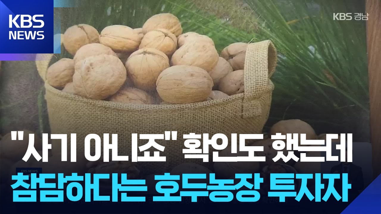 &lsquo;고수익 호두농장&rsquo; 투자 미끼&hellip;대표는 해외 도피 / KBS  2025.08.28.