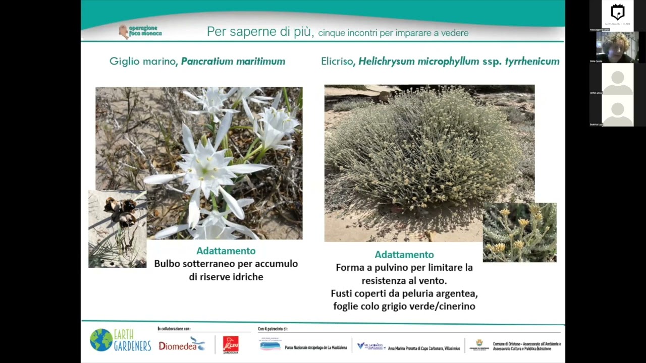 “Ecologia del Mediterraneo: adattamenti della flora" -  Silvia Cardia