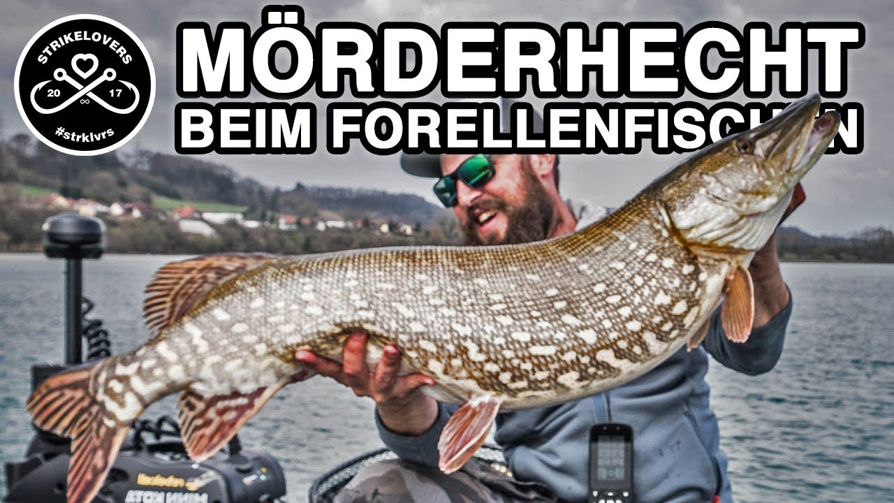 10Kg+ HECHT auf Forellenrute!!! 🎣❤️ Aitel (Döbel), Huchen und Hecht in der Enns