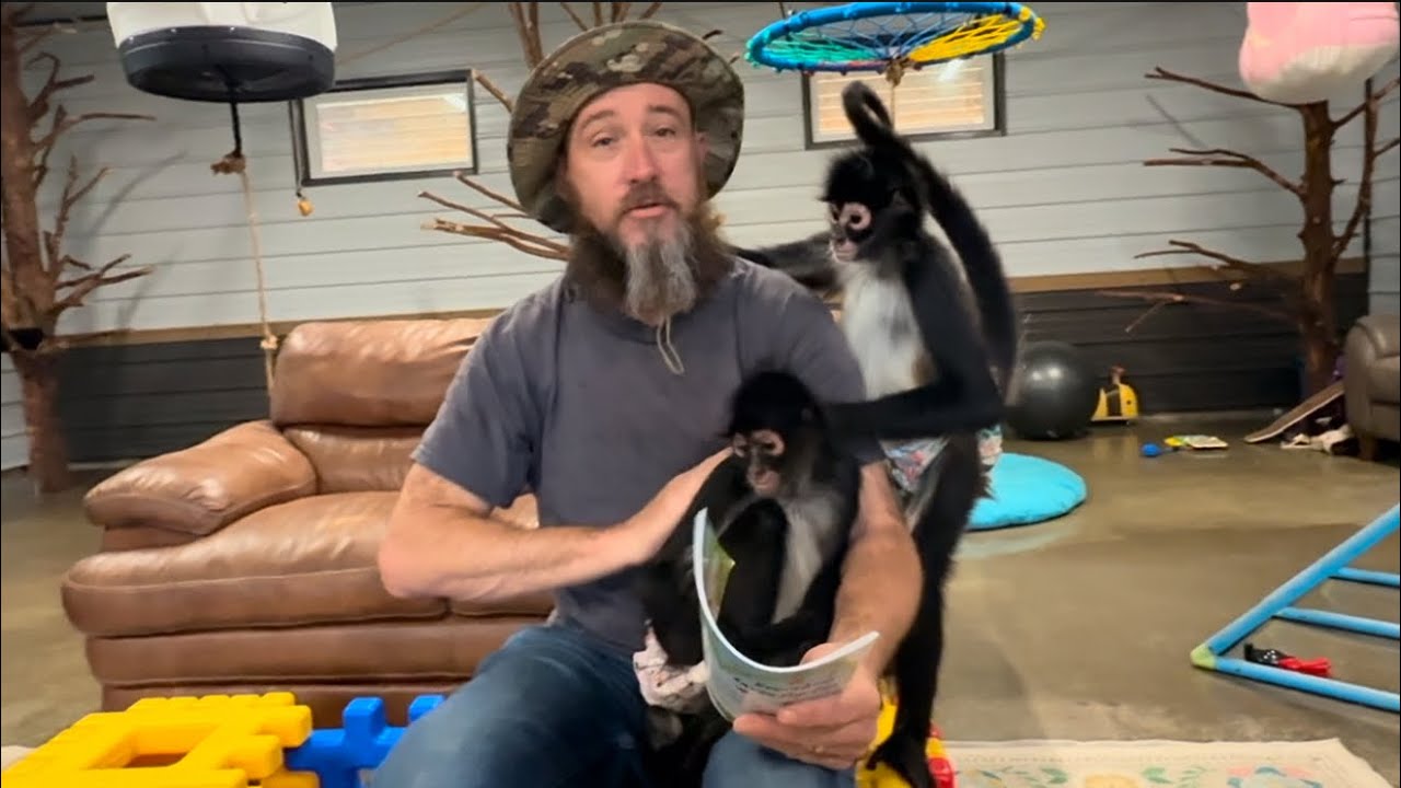 Playtime & storytime with 8 monkeys is always interesting🤣 #monkeys #family #funnyvideos