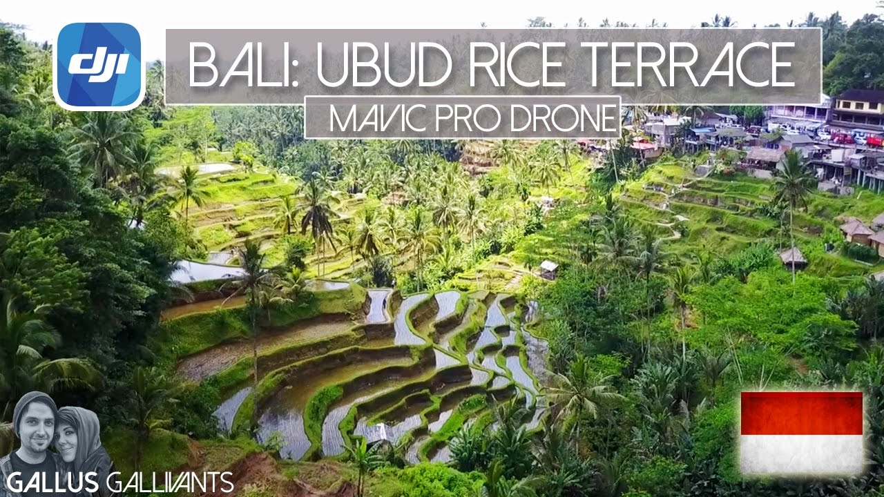 BALI INDONESIA - UBUD RICE TERRACE BY MAVIC DRONE